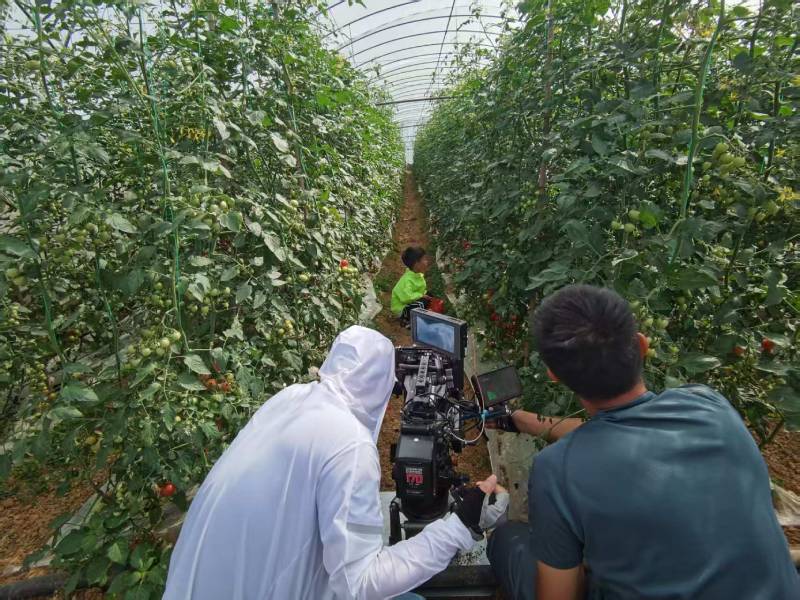 浦北县产品宣传视频拍摄公司进阶指南，助力品牌抢占传播高地